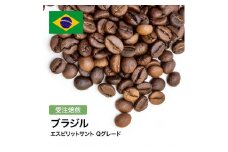 コーヒー豆 #305 ブラジル エスピリットサント Qグレード 受注焙煎！310g 珈琲豆  自家焙煎