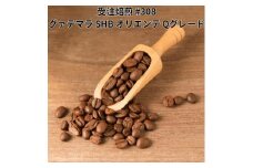 コーヒー豆 #308 グァテマラ SHB オリエンテ Qグレード 受注焙煎！310g 珈琲豆  自家焙煎