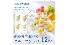 ザ・スウィーツ　凍らせて食べるフルーツソルベ（１２個）