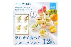 【お中元】【期間限定7月31日まで】ザ・スウィーツ　凍らせて食べるフルーツソルベ（１２個）