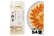 【大阪名物】大阪ふくちぁん餃子 冷凍生餃子 54個 ［18個入×3セット］