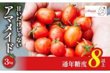 ＜3kg＞ミニトマト 糖度8以上 アマメイド 　リピーター続出の人気野菜【1502595】