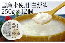 聖食品 国産米使用　白がゆ 250g×12個入【1282201】