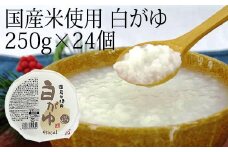 聖食品 国産米使用　白がゆ 250g×24個入【1282203】