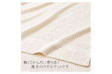 オーガニックタオルケット(薄手)_ タオルケット オーガニックコットン コットン オーガニック 薄手 日本製タオルケット 綿100% 日本製 寝具 軽い 1枚 雑貨 日用品 大阪府 和泉市 贈答 ギフト プレゼント 送料無料 【1347769】