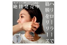 鍼灸師オススメ!ハリローラー 身体・頭皮用(FU001-SJ-h)【1498408】