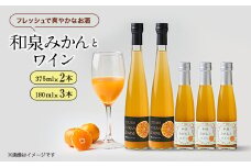和泉みかんとワイン3本(180ml)と2本(375ml)セット【1498031】