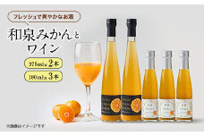 和泉みかんとワイン3本(180ml)と2本(375ml)セット【1498031】