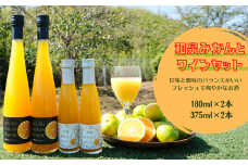 和泉みかんとワイン(180ml 2本と375ml 2本)のセット【1498949】