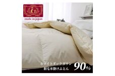 ＜クィーンサイズ＞羽毛ふとん　本掛け　ホワイトダックダウン90%(210×210cm)FW-Q　IV【1418123】