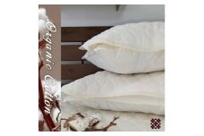 ＜Lサイズ 50×70cm＞オーガニックコットンガーゼ和泉木綿枕パッド 2枚組　OG-5L-2P【1417584】