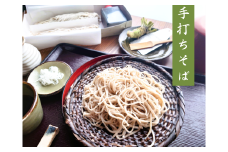 手打ちそば　かけはし　そば　二人前　ざるそば用　本わさび付き【1448984】