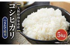 大阪府和泉市の農家さんが心を込めて作ったコシヒカリ　一袋5kg。道の駅で精米してお届けします。【1498573】