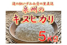 大阪府和泉市の農家さんが心を込めて作ったキヌヒカリ　一袋5kg。道の駅で大好評。_ 米 こめ おこめ お米 精白米 白米 精米 キヌヒカリ ブランド米 人気 おすすめ 送料無料 贈答 ギフト 産地直送 お取り寄せ 【1498576】