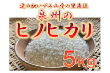 大阪府和泉市の農家さんが心を込めて作ったヒノヒカリ　一袋5kg。道の駅で大好評。_ 米 こめ おこめ お米 精白米 白米 精米 ヒノヒカリ ブランド米 人気 おすすめ 送料無料 贈答 ギフト 産地直送 お取り寄せ 【1498579】