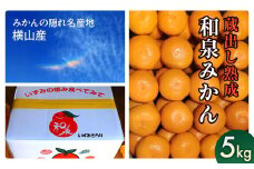 隠れ名産地　蔵出し熟成和泉みかん(中玉・大玉サイズミックス)5kg【1499001】