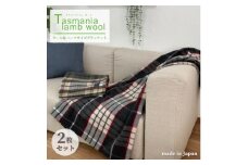 ＜ハーフサイズ2枚組＞タスマニアラムウール混毛布 90×140cm  SH-34911L【1428677】