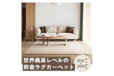 最大82%の音をカットする防音ラグカーペット「防音専科」ホワイト ベージュ 200×200cm【1482894】