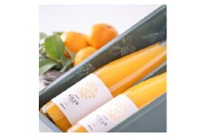 想いを贈る100%ストレートみかんジュース　500ml×2本　オリジナル贈答用箱入り【1499596】