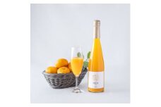 キレのある100%ストレートみかんジュース　500ml×1本【1499600】