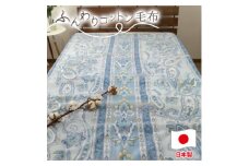 ＜シングルサイズ＞オールシーズンふんわりやわらか綿毛布 ブルー1枚   MO-111-BL【1506859】
