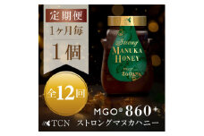 ＜毎月定期便＞ストロングマヌカハニー＜MGO860+＞500g×1個　全12回【4050096】