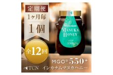 ＜毎月定期便＞インカナム マヌカハニー＜MGO550+＞500g×1個　全12回【4050101】