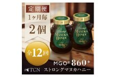 ＜毎月定期便＞ストロングマヌカハニー＜MGO860+＞500g×2個　全12回【4050135】