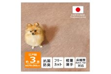 カーペット 日本製 抗菌防臭 犬 猫 ペット対応 ビオラ 176×261cm 江戸間 3畳 ベージュ【1519443】