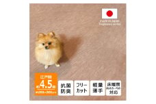 カーペット 日本製 抗菌防臭 ペット対応 ビオラ 261×261cm 江戸間 4.5畳 ベージュ【1519444】