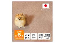 カーペット 日本製 抗菌防臭 犬 猫 ペット対応 ビオラ 261×352cm 江戸間 6畳 ベージュ【1519448】