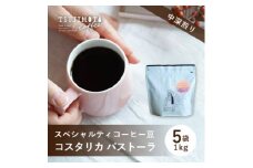 スペシャルティコーヒー豆 　コスタリカ パストーラ1kg(200g×5袋)豆のまま中深煎り　辻本珈琲【1535834】