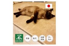 カーペット 日本製 厚手 防ダニ 防音ペットもよろこぶ 261×352cm 江戸間 6畳 ベージュ【1548466】