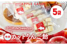和泉市丸カットりんご飴100g×5袋(冷凍)【1550964】