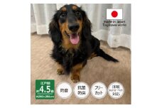 カーペット 江戸間 4.5畳 防音 ペット対応 厚手 ナンテン 261×261cm ベージュ 日本製【1525635】