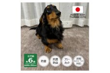 カーペット 江戸間 6畳 防音 ペット対応 厚手 ナンテン 261×352cm グレージュ 日本製【1525640】