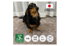 カーペット 江戸間3畳 防音 ペット対応 厚手 ナンテン 176×261cm グレージュ 日本製【1525642】