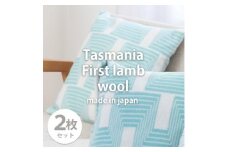 ＜2枚組＞洗えるタスマニアラムウール混クッションカバー 45×45cm GR OTW-4545-2P【1555587】