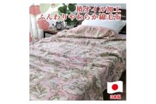 椿オイル加工 ふんわり綿毛布 シングルサイズ(140×200cm)ピンク CNM-300ーPI【1561022】