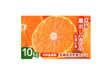 四季盛農園の本貯蔵 蔵出しみかん10Kg　＜1月中旬頃から順次発送＞【1581533】