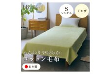 ＜コットン毛布 シングルサイズ ミモザ＞140×200cm 大阪府和泉市産【1591624】