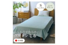 ＜コットン毛布 シングルサイズ ミントグリーン＞140×200cm 大阪府和泉市産【1591625】