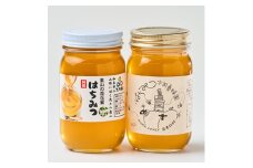道の駅で大人気のハチミツ(300g×2本)【1595917】