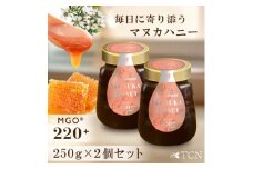 ＜2個セット＞インカナム マヌカハニー MGO 220+ 250g【1606254】