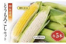 和泉市産のとうもろこしセット(黄色5本・白色5本)【1518411】