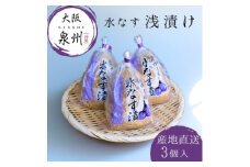 水なす 浅漬け 泉州特産 ぬか漬け 3個入り【1635660】
