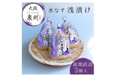 水なす 浅漬け 泉州特産 ぬか漬け 3個入り【1635660】