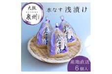 水なす 浅漬け 泉州特産 ぬか漬け 6個入り【1638746】