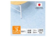 防ダニ カーペット 3畳 日本製 抗菌防臭 ノースポール 江戸間 176×261cm ブルー【1639030】