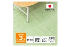 防ダニ カーペット 3畳 日本製 抗菌防臭 ノースポール 江戸間 176×261cm グリーン【1639053】